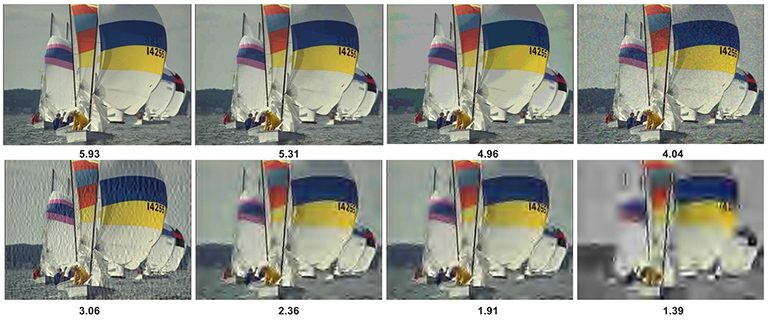 nima-google-evaluation