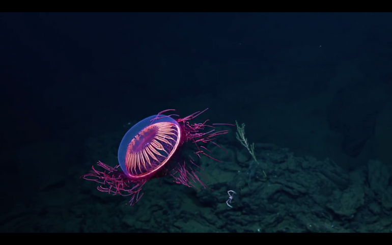 Capture d’écran 2018-02-21 à 18.08.10