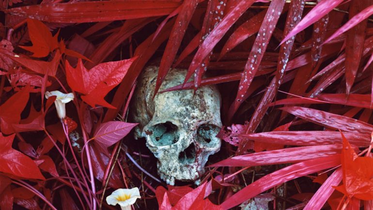 130603-richard-mosse-venice-biennale-tease_jlzyya