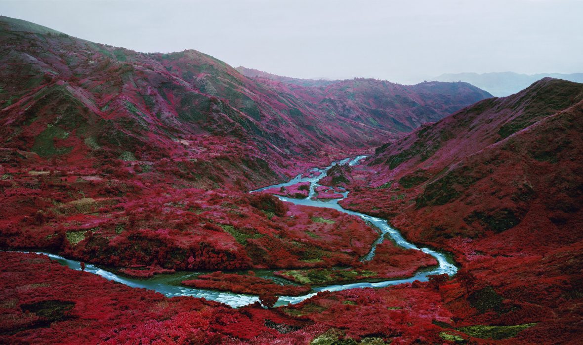 Love-Is-The-Drug-DHC-website