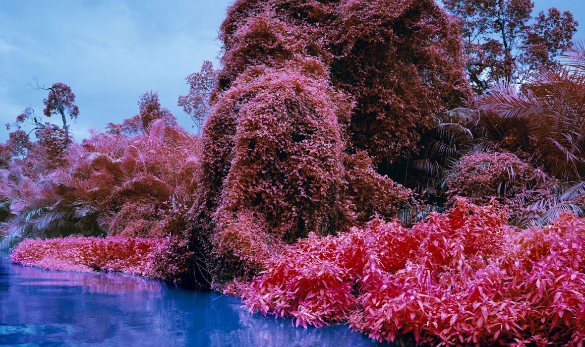 illustre_Richard_Mosse