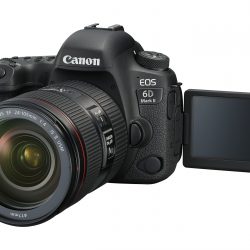 03-Canon EOS_6D_Mark_II LCD Open EF24-105mm F4L II USM FSL
