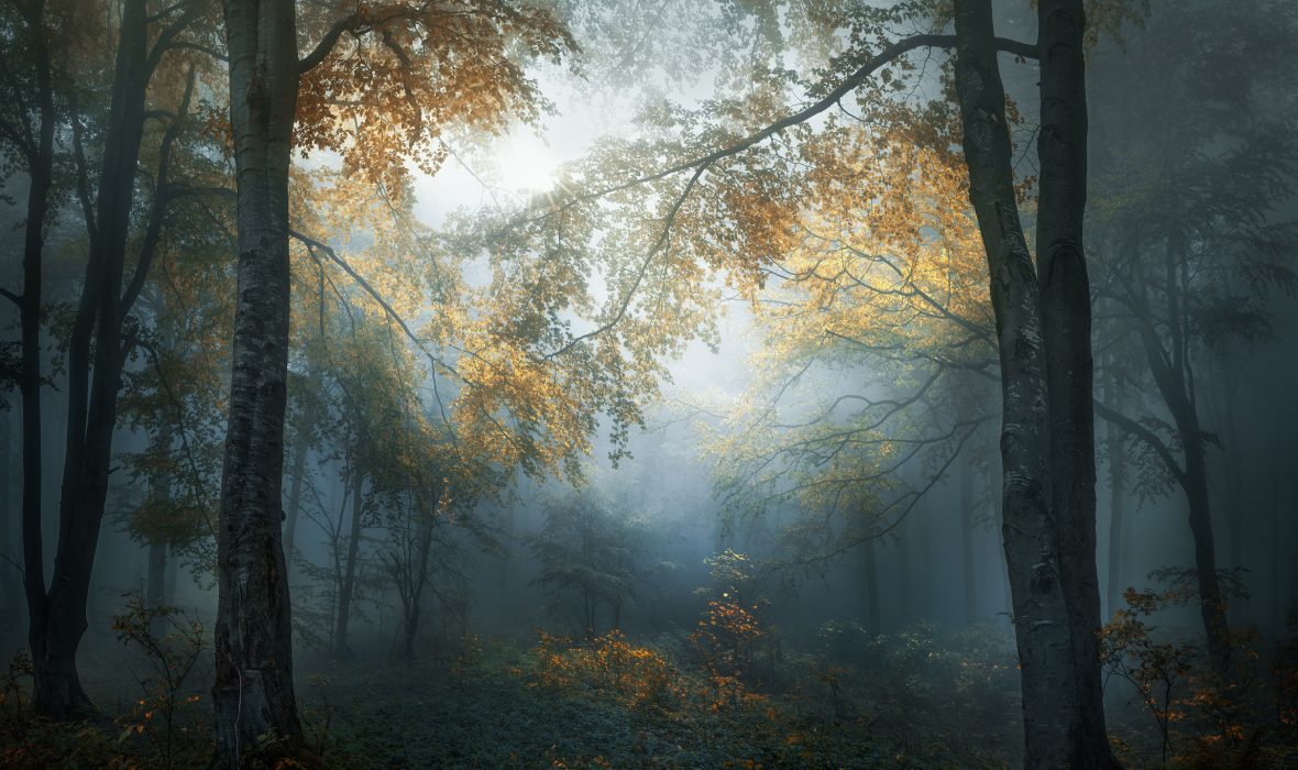 2347_4831_VeselinAtanasov_Bulgaria_Open_LandscapeNature2018Opencompetition_2018