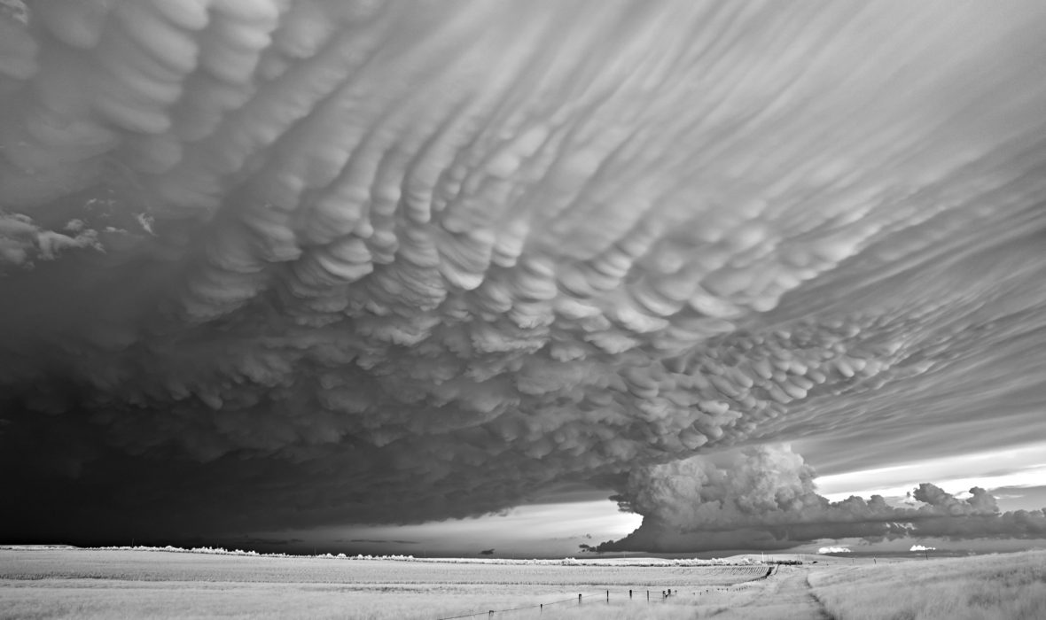 2445_1_5619_MitchDobrowner_UnitedStatesofAmerica_Professional_NaturalWorldWildlife2018Professionalcompetition_2018