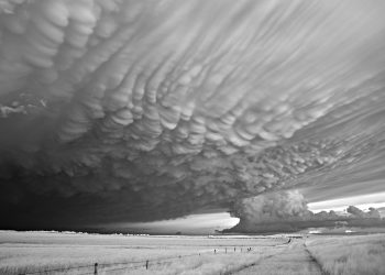 2445_1_5619_MitchDobrowner_UnitedStatesofAmerica_Professional_NaturalWorldWildlife2018Professionalcompetition_2018