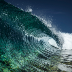 Capture d’écran 2018-05-18 à 15.52.46
