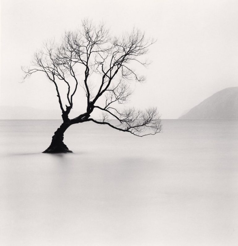 Wanaka Lake Tree, Study 1, Otago, New Zealand. 2013_preview