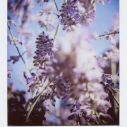 photo_tiffinykaetzel_2