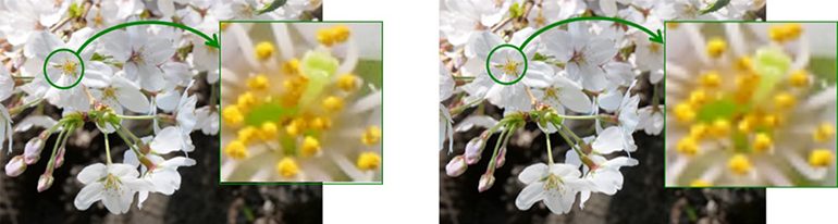 viseur_oled_sony_a7siii_comparaison