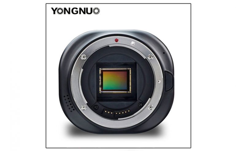 yongnuo-yn43-image-2