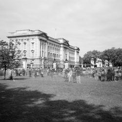 Ambroise Tézenas _ Buckingham Palace