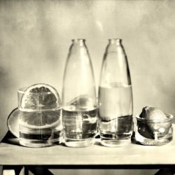 Jean-Baptiste Sénégas _ Agrumes