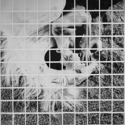 MAUD CHALARD HABIT ROUGE 2