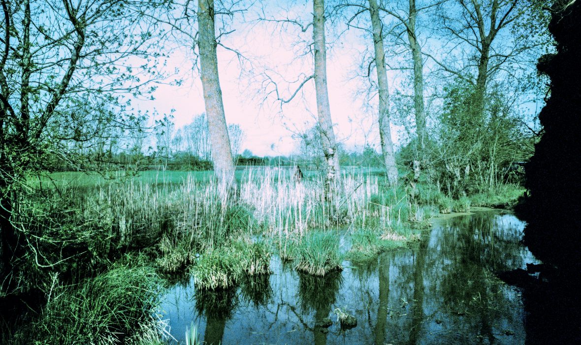 clara_chichin_ledosdesarbres01