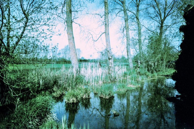 clara_chichin_ledosdesarbres01