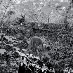 clara_chichin_ledosdesarbres03