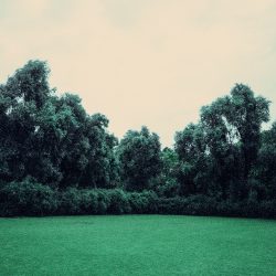 clara_chichin_ledosdesarbres_04