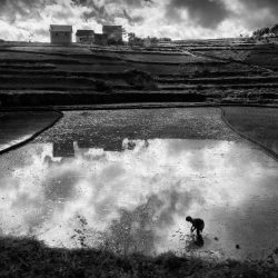 11_Rizieres_Paysans_NB_9128449