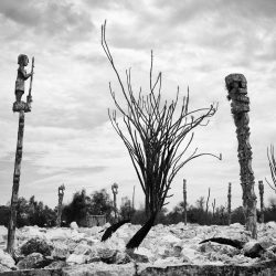 15_TOMBEAU_SUD_L1018026