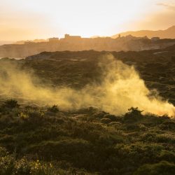 4-Isabelle-and-Alexis-Bonifacio