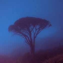 59bb9751777425.58f94d2b5b302