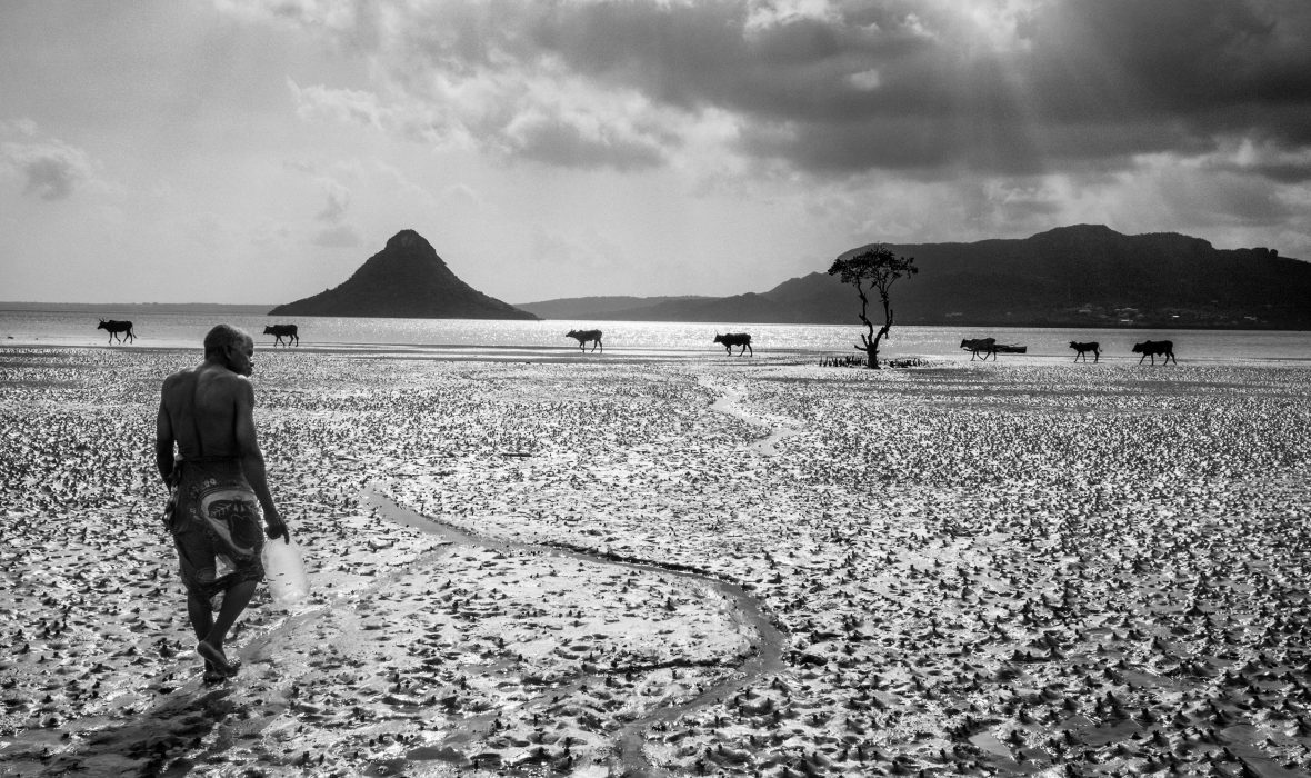 5_DIEGO_SACRE_BIS_NB_MEN0740