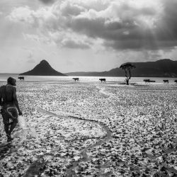 5_DIEGO_SACRE_BIS_NB_MEN0740