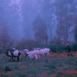 7b83ee61228613.5a67aa3d0d43d