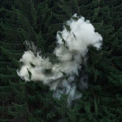 Blossom-Isabelle-and-Alexis-4