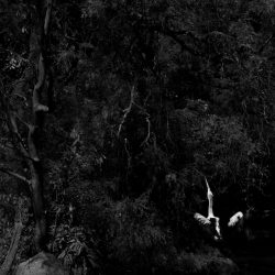 Copie de KK_CROSSING_DIMEZZO23 (1)