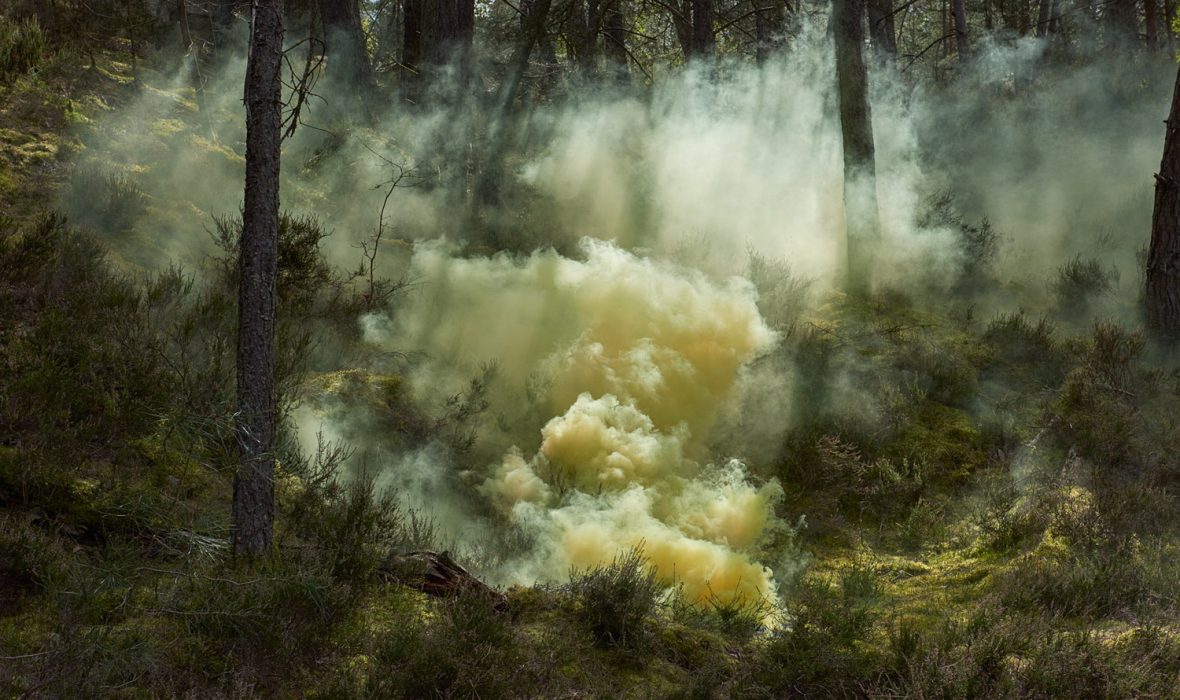 Isabelle+&+Alexis+-+Blossom+88