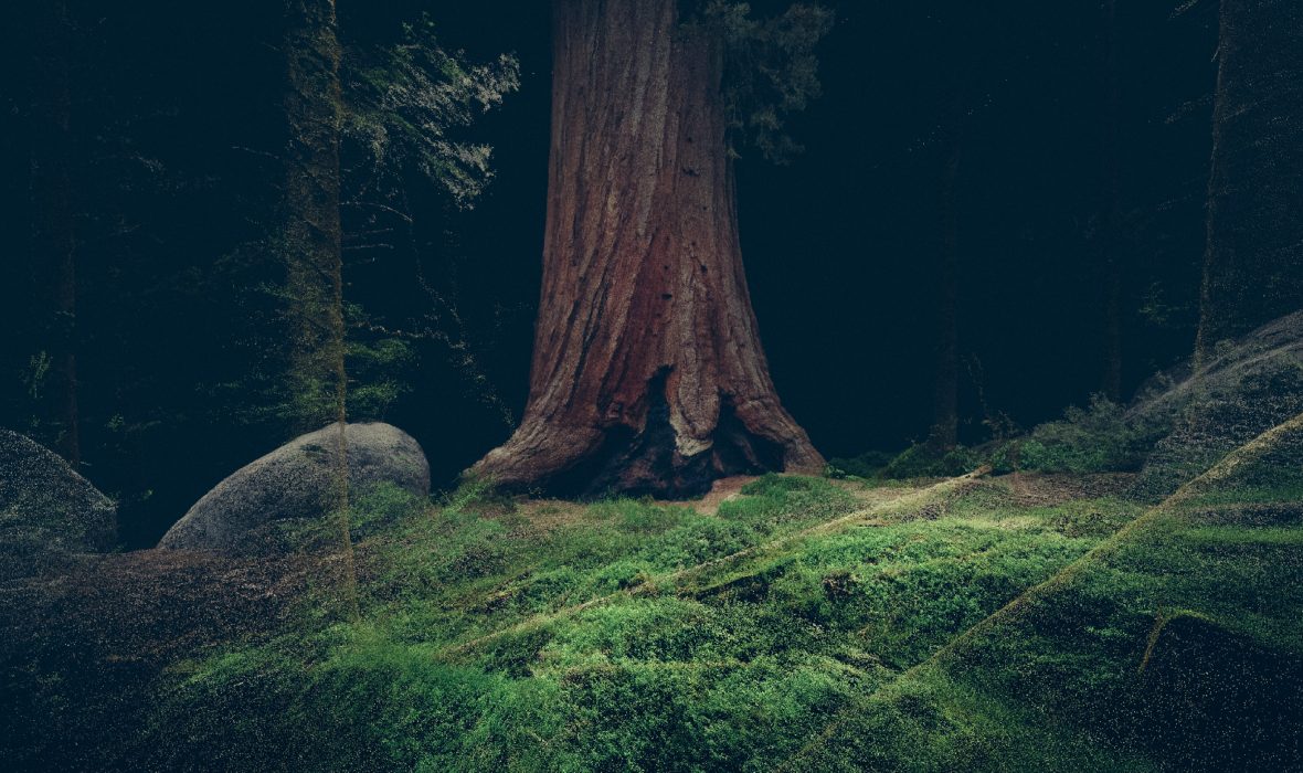 Treehugger © Marshmalow laser feast