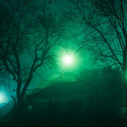 ad980157194833.59cd367937c4d