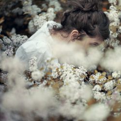 flowers_alicelemarin