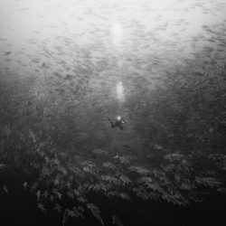 underwater3