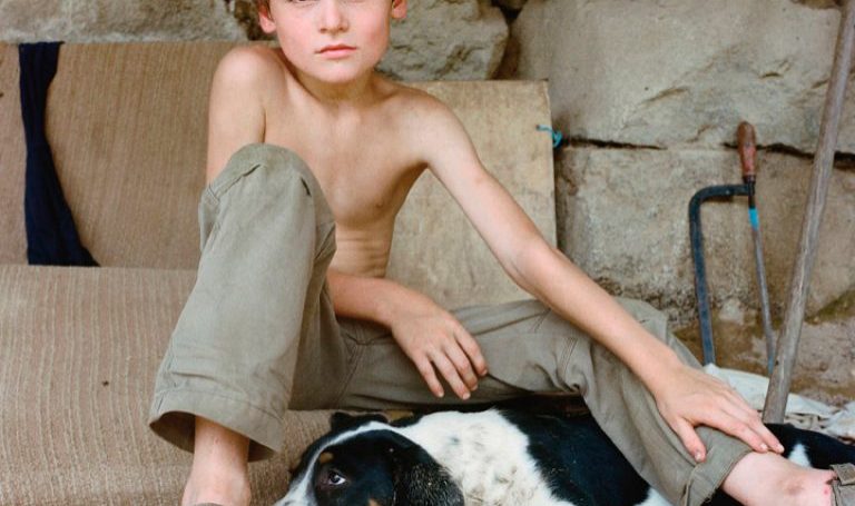 ©-Antoine-Bruy-Urs-The-Pyrenees-France-2012-768x768