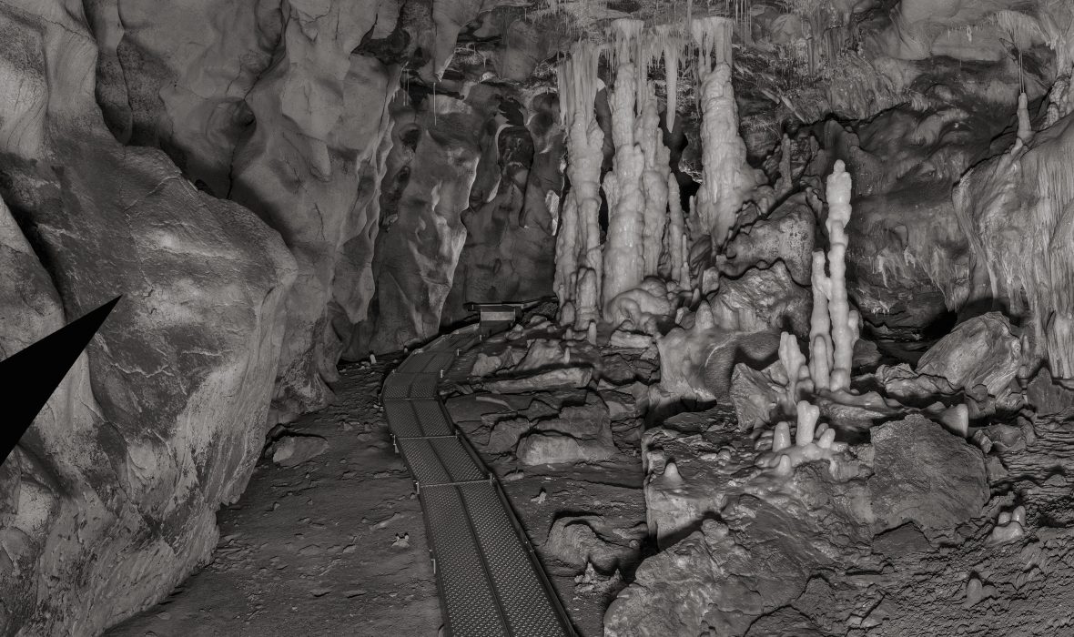 2 CACTUS_OURS-crop30