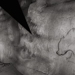 3 CACTUS_OURS-crop30