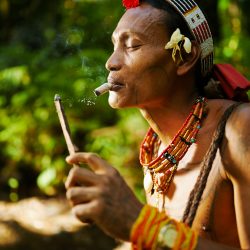 Menatwai fom Indonesia 7