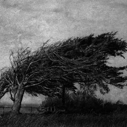 Occulus © Yusuf SEVINÇLI, 2016