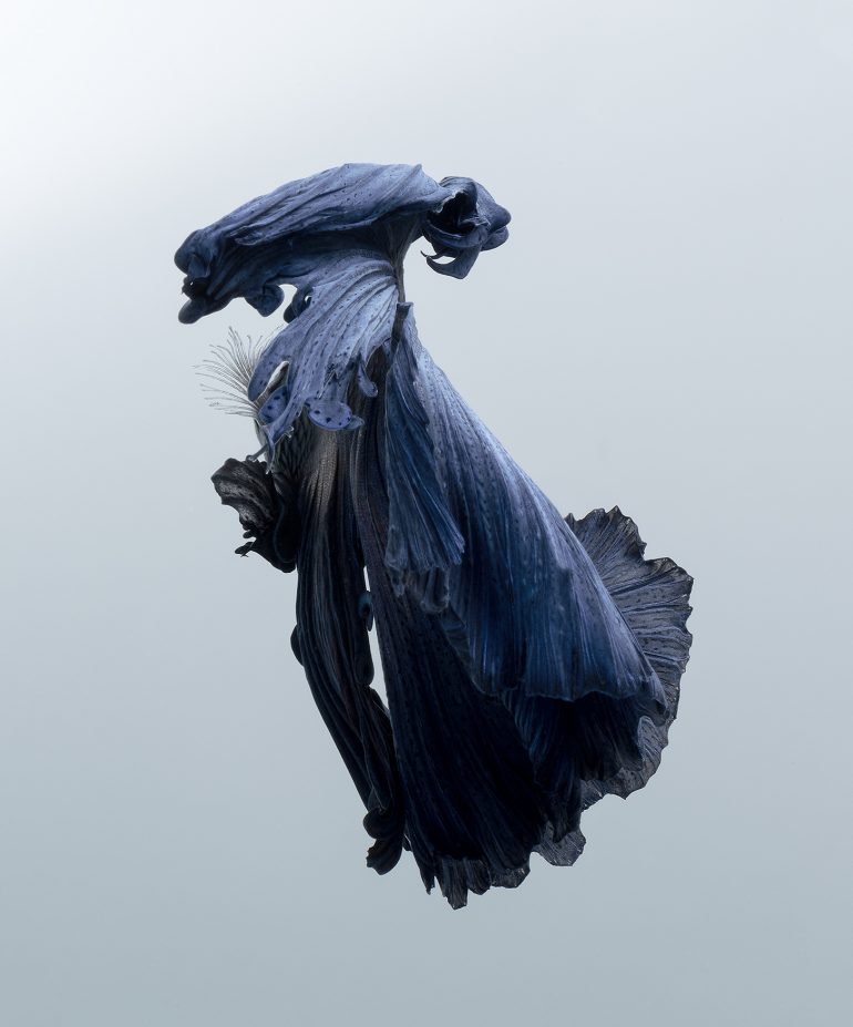 VisaruteAngkatavanich_03