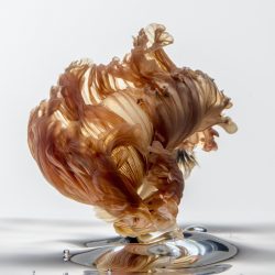 VisaruteAngkatavanich_18