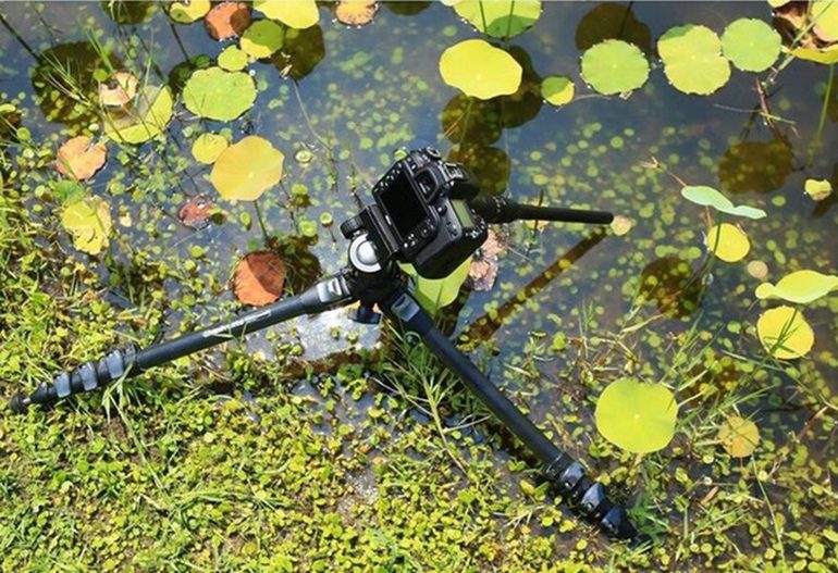 laowa_24_macro_situation