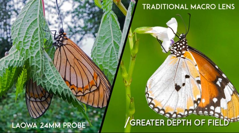 laowa_24mm_depth_of_field