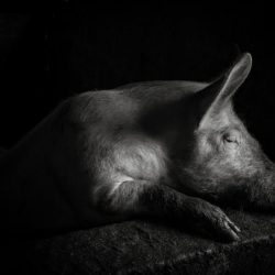 pierre-faure-france-peripherique-09-870x580