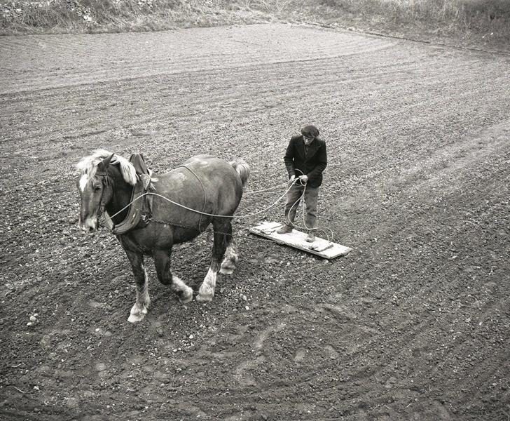 Expo2016.6.4 (Copy) (Copy)