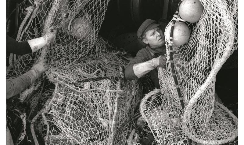 Expo2016.8.6 (Copy) (Copy)