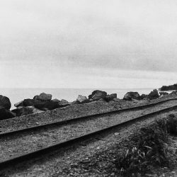 thumbnail_BECKA_HD_01