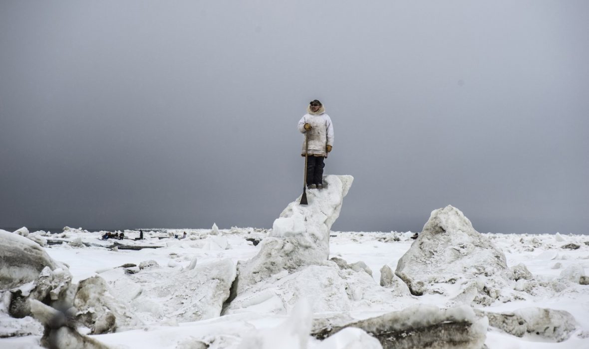 thumbnail_arctic_alaska0518_2003(1)