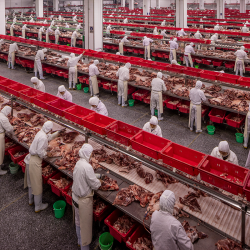 017_George Steinmetz_for National Geographic